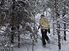 Snowshoeing